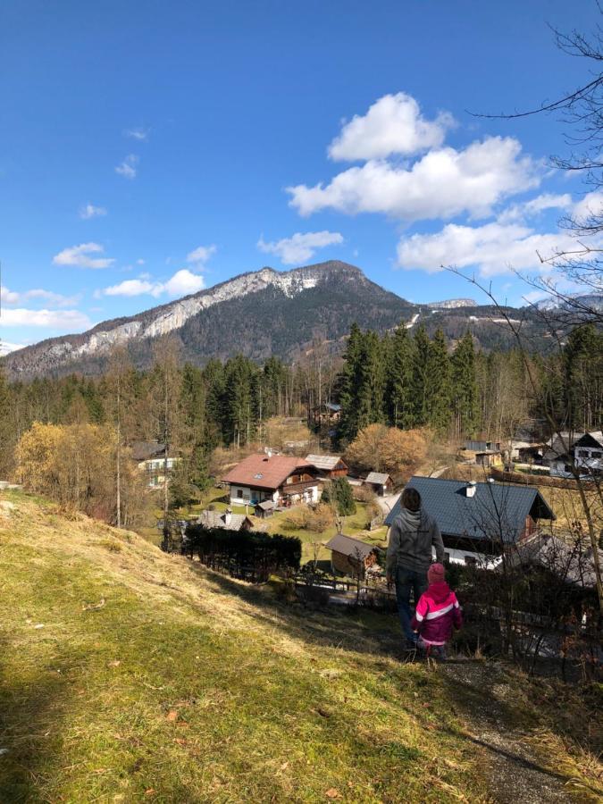 Apartment Goisernperle Bad Goisern Buitenkant foto