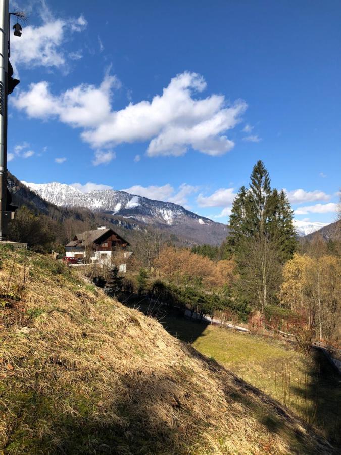 Apartment Goisernperle Bad Goisern Buitenkant foto